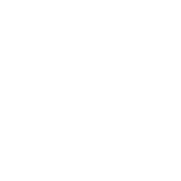 Fox News article on Mogul